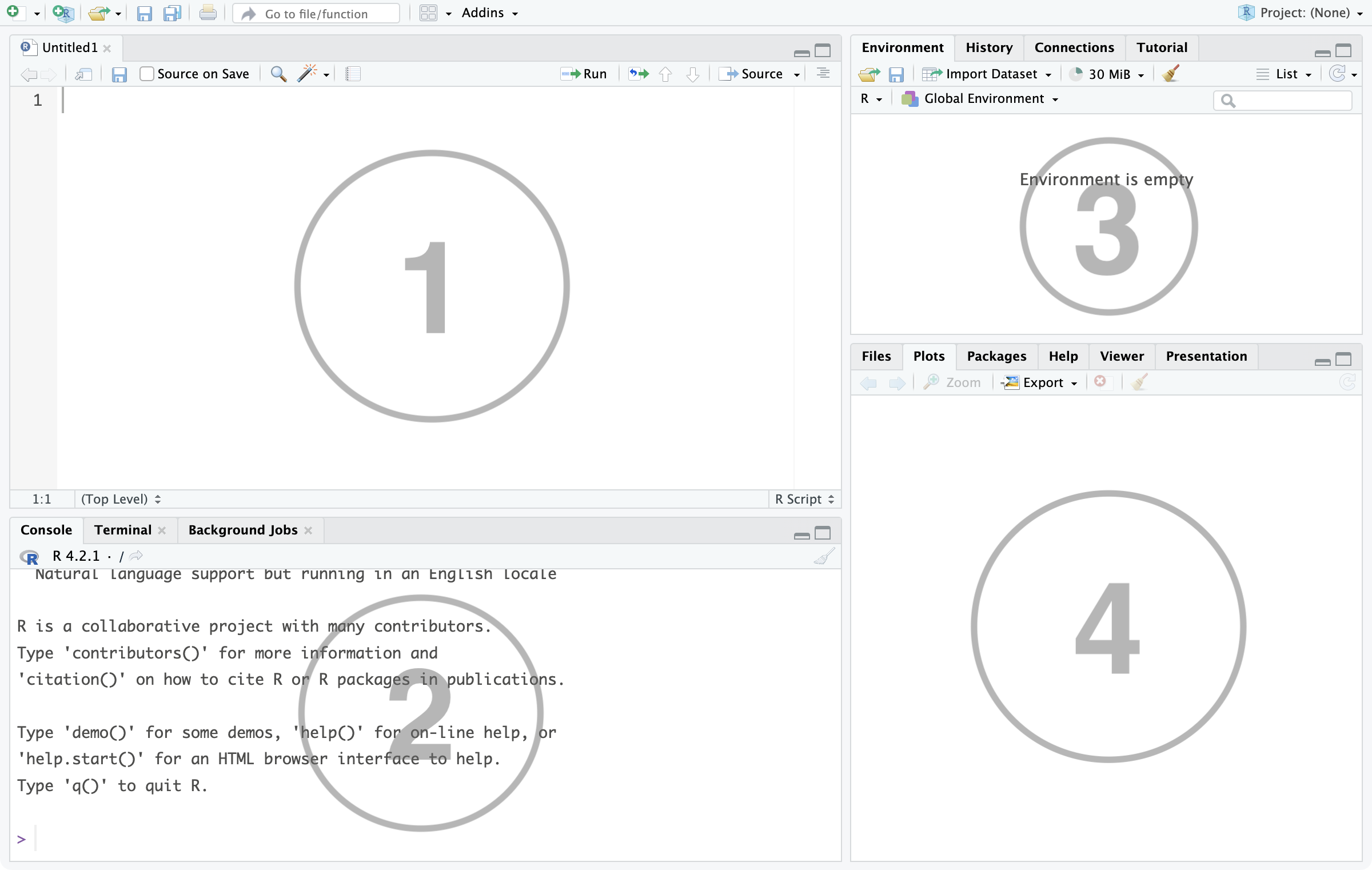 RStudio window